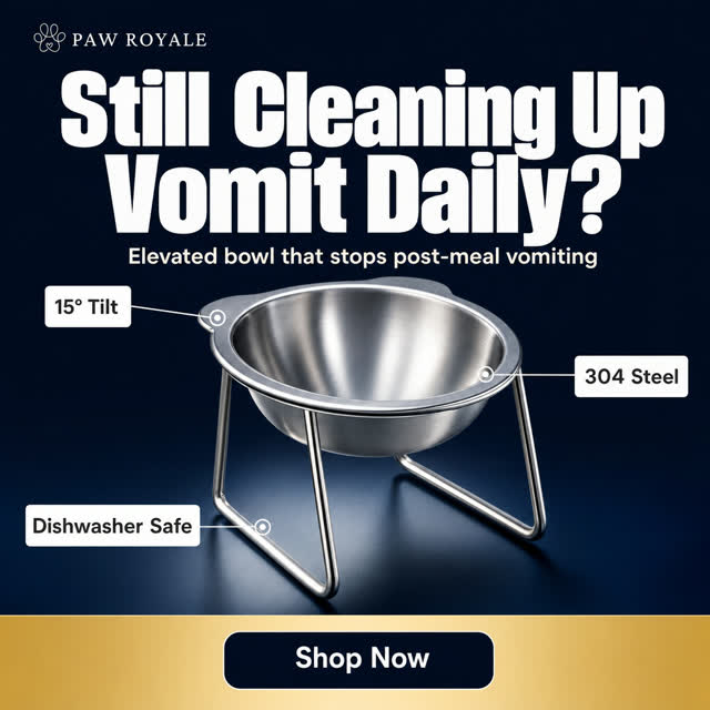 Static ad example